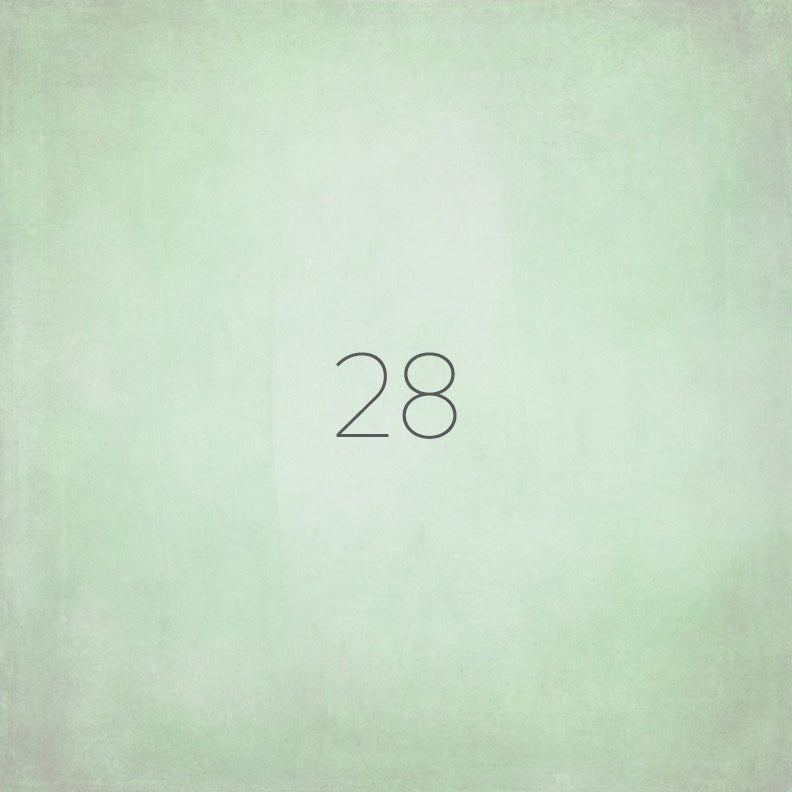 background 28- light green grey white burnt edges