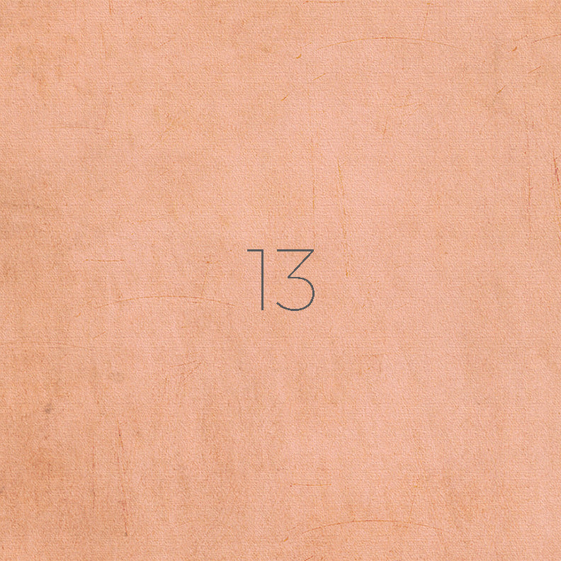 Background 13- Salmon textured