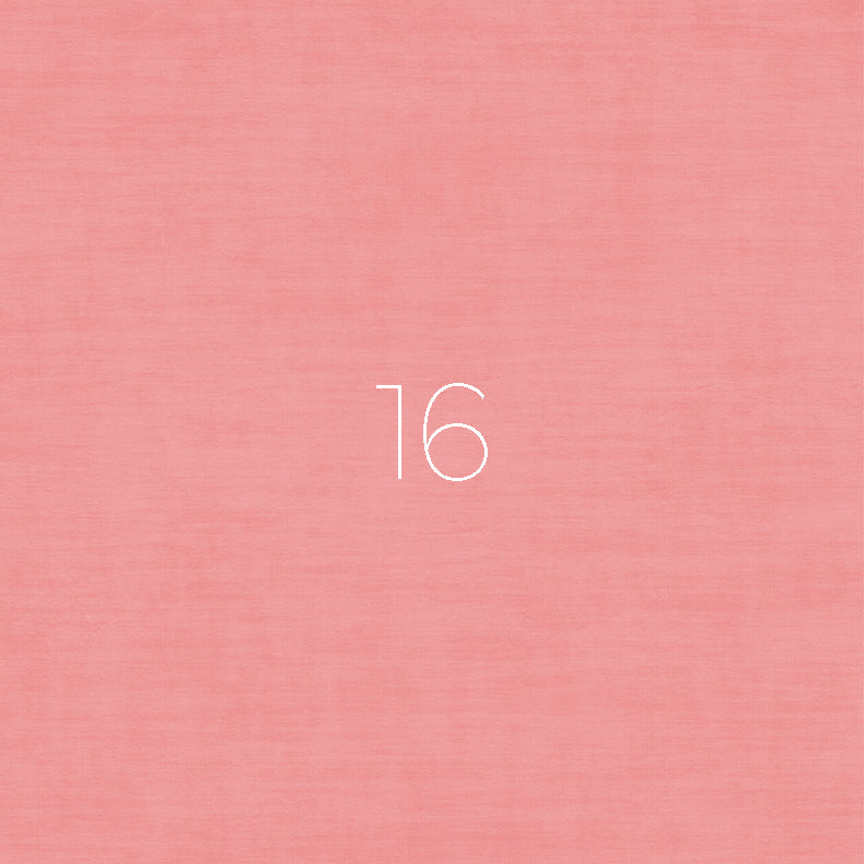Background 16- Pink coral