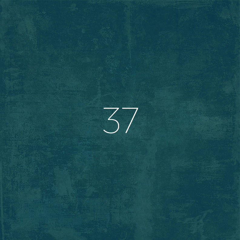 background 37- dark teal 
