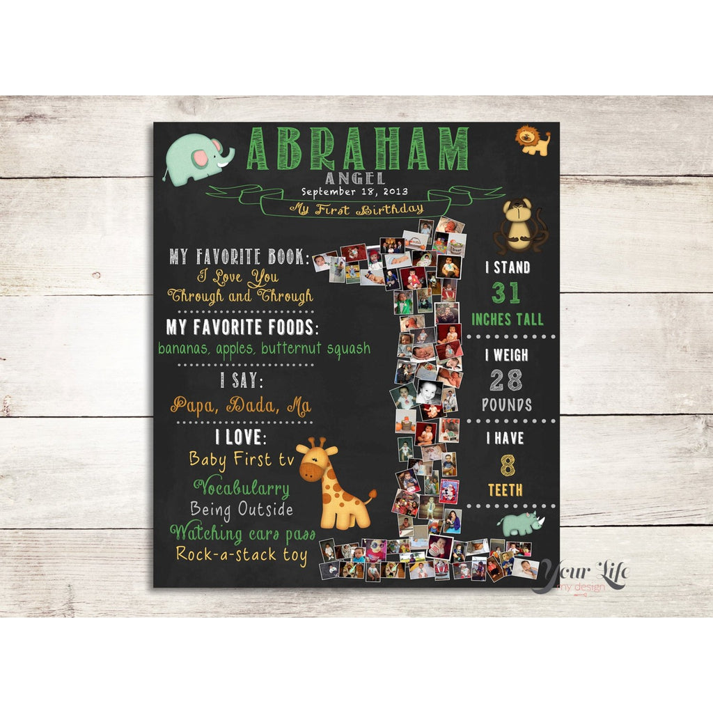 Zoo Animals - 1st Birthday Photo Collage