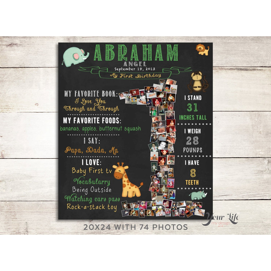 Zoo Animals - 1st Birthday Photo Collage